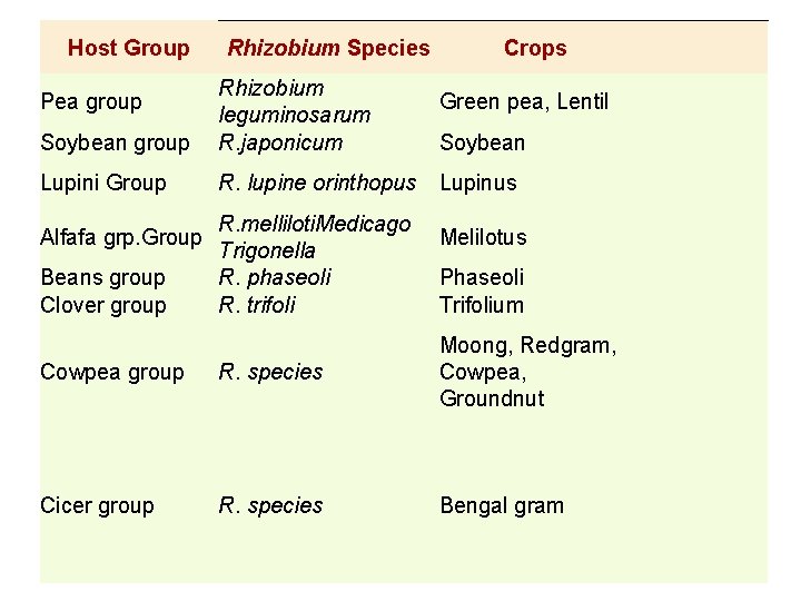 Host Group Rhizobium Species Soybean group Rhizobium leguminosarum R. japonicum Lupini Group R. lupine