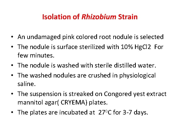 Isolation of Rhizobium Strain • An undamaged pink colored root nodule is selected •