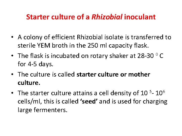 Starter culture of a Rhizobial inoculant • A colony of efficient Rhizobial isolate is