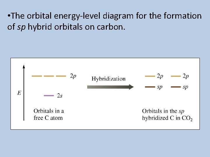  • The orbital energy-level diagram for the formation of sp hybrid orbitals on
