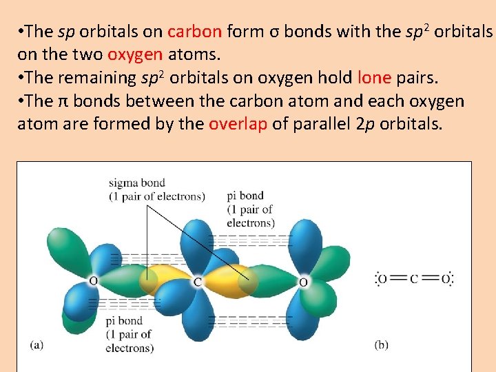  • The sp orbitals on carbon form σ bonds with the sp 2