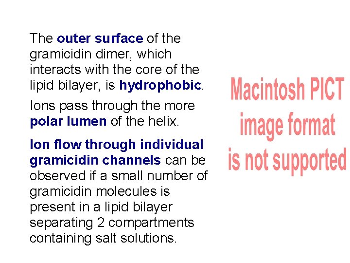 The outer surface of the gramicidin dimer, which interacts with the core of the