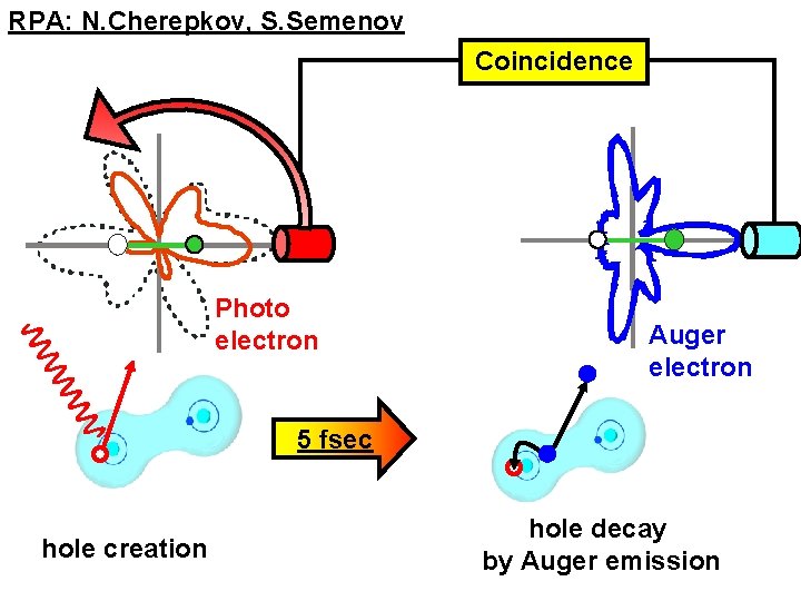 RPA: N. Cherepkov, S. Semenov Coincidence Photo electron Auger electron 5 fsec hole creation