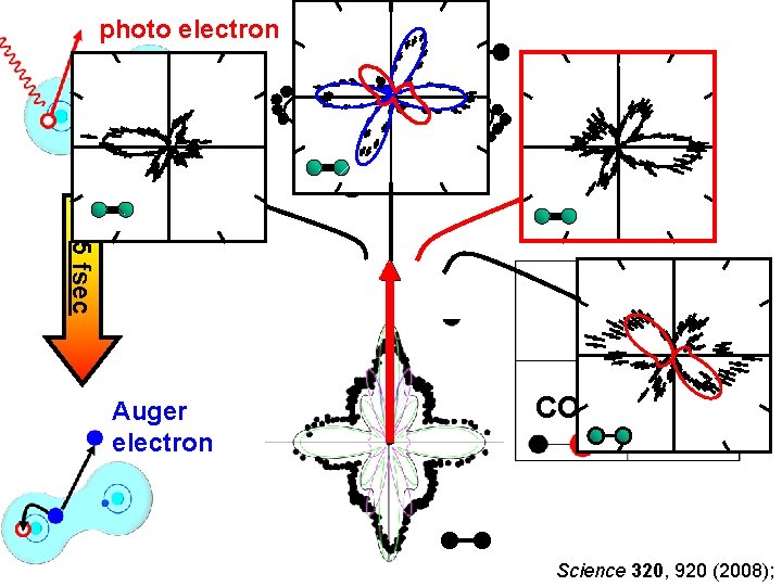 photo electron 5 fsec Auger electron CO Science 320, 920 (2008); 