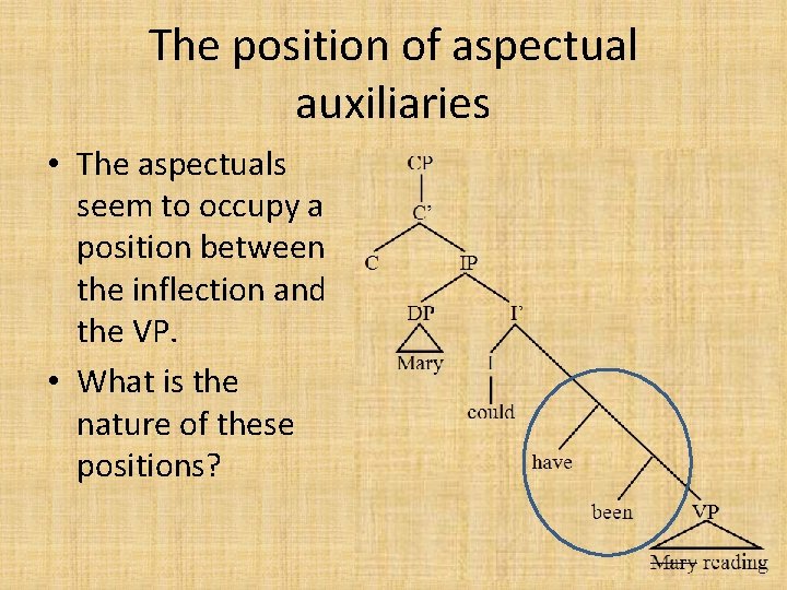 The position of aspectual auxiliaries • The aspectuals seem to occupy a position between