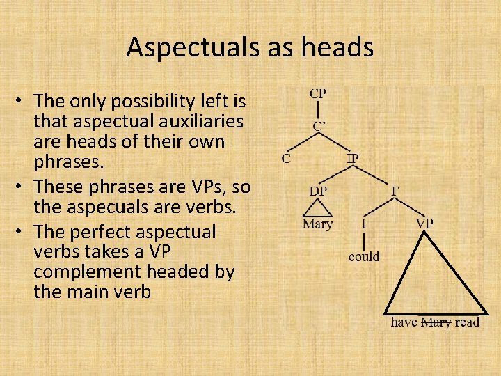 Aspectuals as heads • The only possibility left is that aspectual auxiliaries are heads