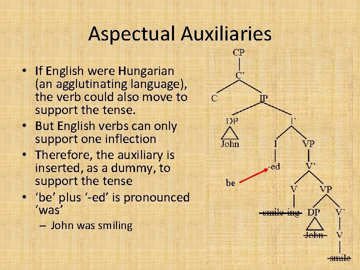 Aspectual Auxiliaries • If English were Hungarian (an agglutinating language), the verb could also