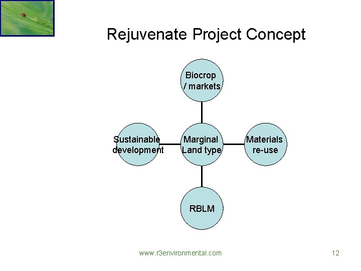 Rejuvenate Project Concept Biocrop / markets Sustainable development Marginal Land type Materials re-use RBLM