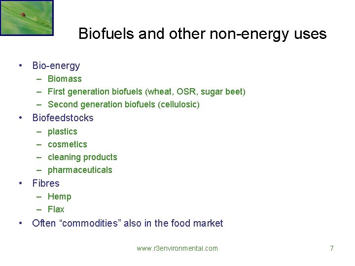 Biofuels and other non-energy uses • Bio-energy – Biomass – First generation biofuels (wheat,