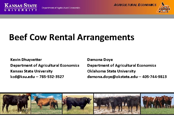 AGRICULTURAL ECONOMICS Beef Cow Rental Arrangements Kevin Dhuyvetter Department of Agricultural Economics Kansas State