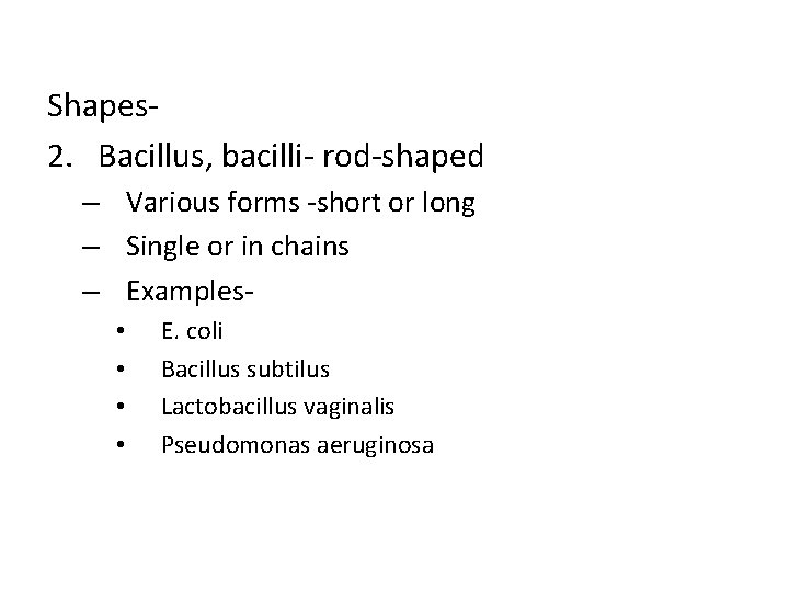 Shapes 2. Bacillus, bacilli- rod-shaped – Various forms -short or long – Single or