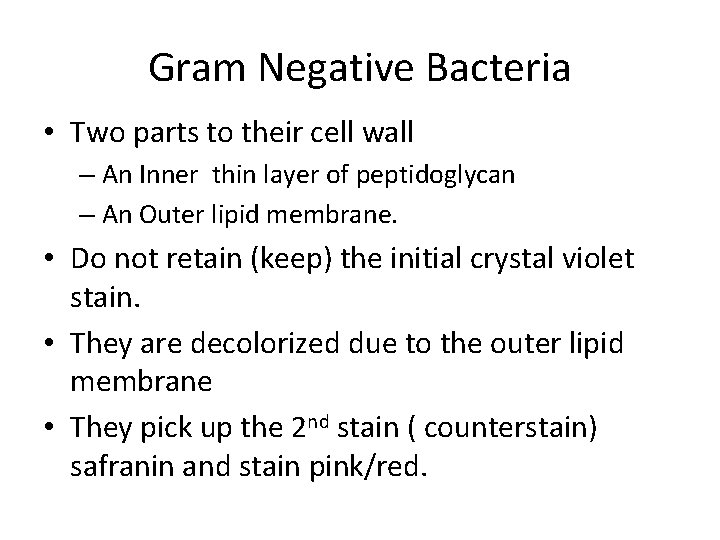 Gram Negative Bacteria • Two parts to their cell wall – An Inner thin