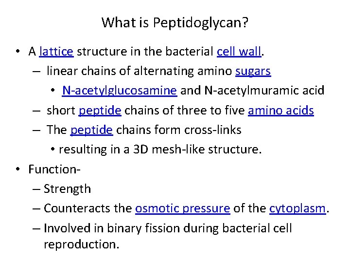 What is Peptidoglycan? • A lattice structure in the bacterial cell wall. – linear