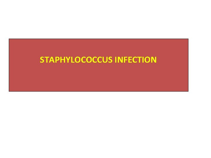 STAPHYLOCOCCUS INFECTION 