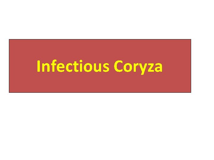 Infectious Coryza 
