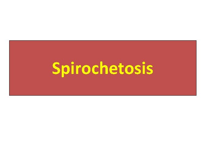 Spirochetosis 