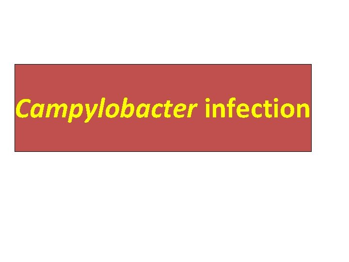 Campylobacter infection 