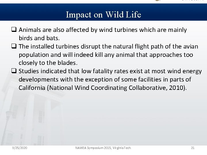 Impact on Wild Life q Animals are also affected by wind turbines which are