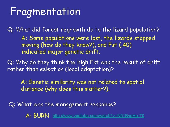 Fragmentation Q: What did forest regrowth do to the lizard population? A: Some populations
