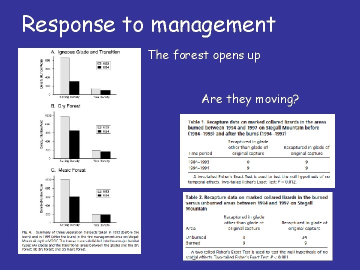 Response to management The forest opens up Are they moving? 