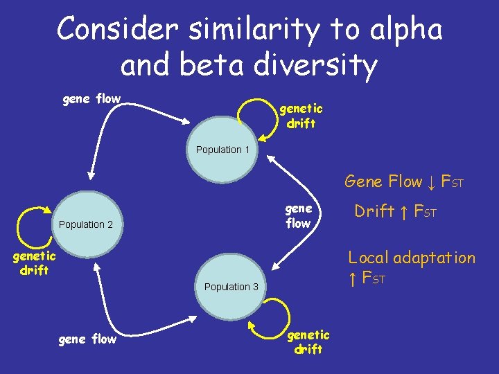 Consider similarity to alpha and beta diversity gene flow genetic drift Population 1 Gene