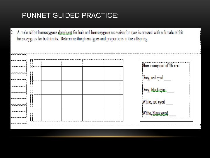 PUNNET GUIDED PRACTICE: 