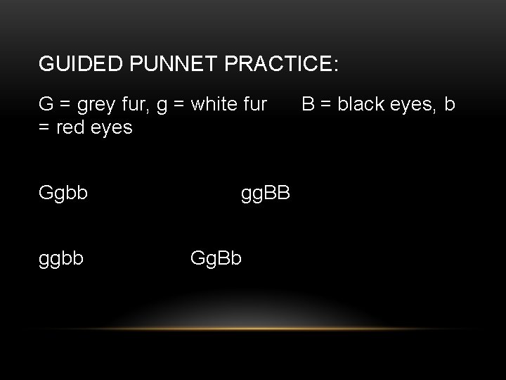 GUIDED PUNNET PRACTICE: G = grey fur, g = white fur = red eyes