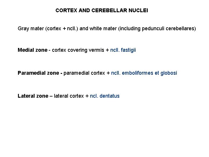 CORTEX AND CEREBELLAR NUCLEI Gray mater (cortex + ncll. ) and white mater (including