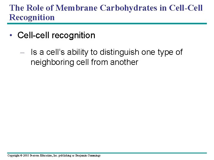 The Role of Membrane Carbohydrates in Cell-Cell Recognition • Cell-cell recognition – Is a