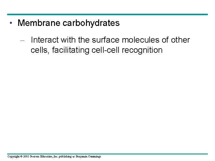  • Membrane carbohydrates – Interact with the surface molecules of other cells, facilitating