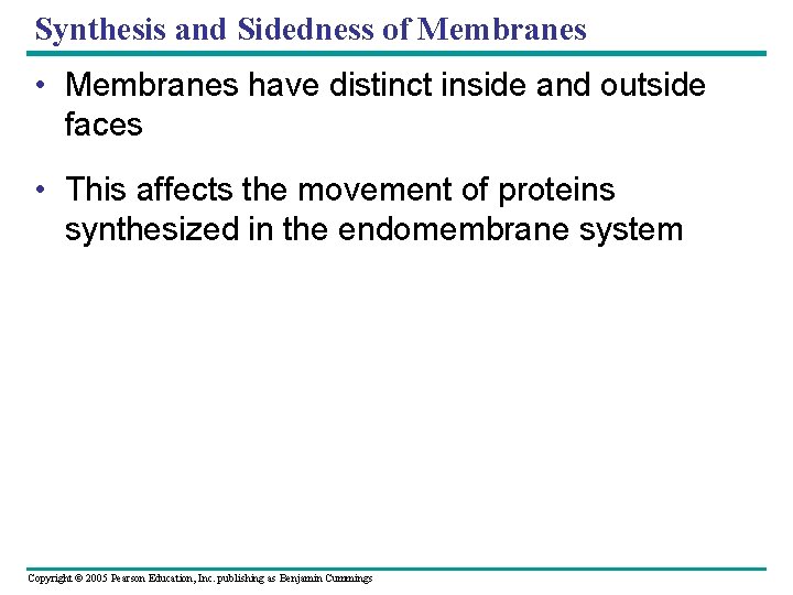 Synthesis and Sidedness of Membranes • Membranes have distinct inside and outside faces •