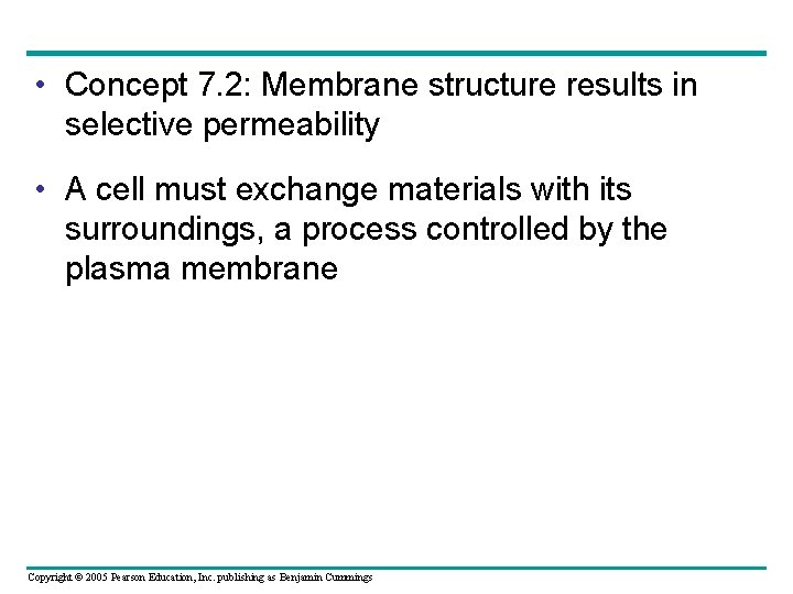  • Concept 7. 2: Membrane structure results in selective permeability • A cell