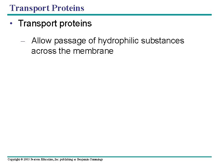Transport Proteins • Transport proteins – Allow passage of hydrophilic substances across the membrane