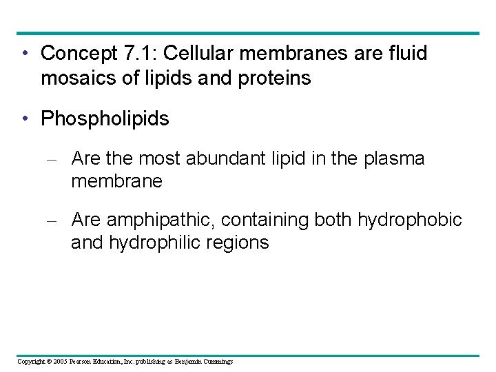  • Concept 7. 1: Cellular membranes are fluid mosaics of lipids and proteins