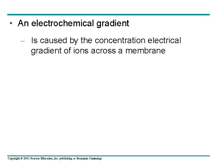  • An electrochemical gradient – Is caused by the concentration electrical gradient of