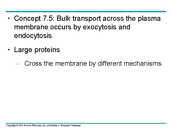  • Concept 7. 5: Bulk transport across the plasma membrane occurs by exocytosis