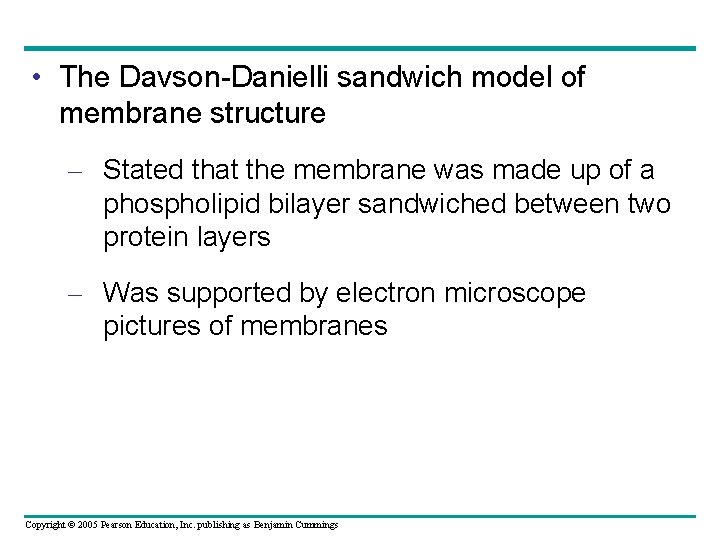  • The Davson-Danielli sandwich model of membrane structure – Stated that the membrane