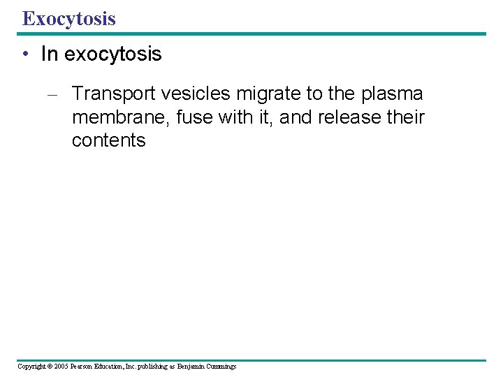 Exocytosis • In exocytosis – Transport vesicles migrate to the plasma membrane, fuse with