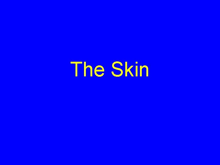 The Skin 