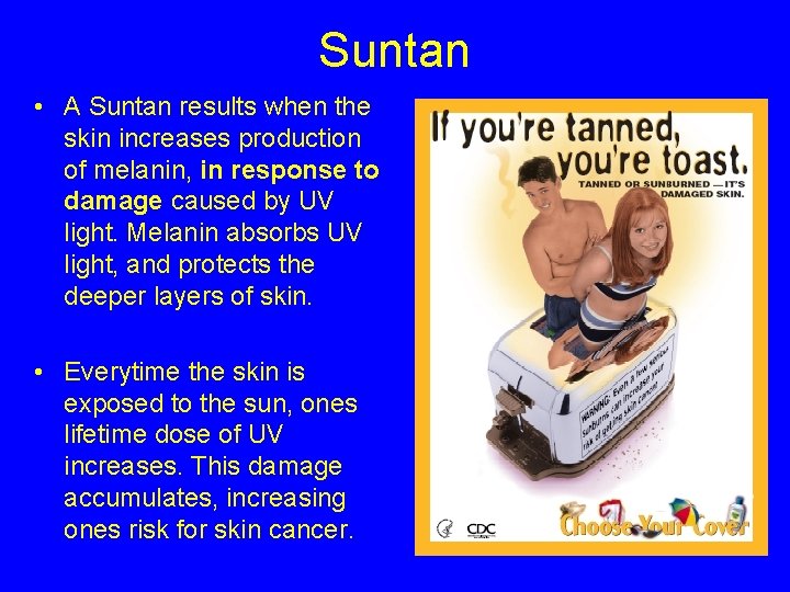 Suntan • A Suntan results when the skin increases production of melanin, in response