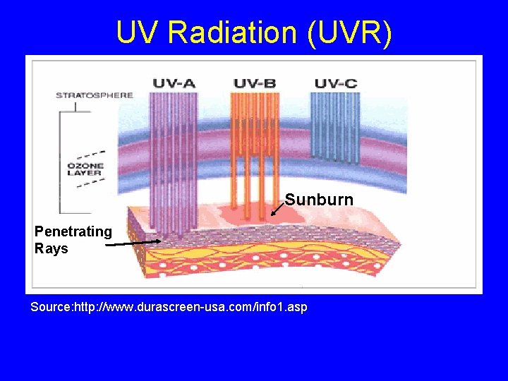UV Radiation (UVR) Sunburn Penetrating Rays Source: http: //www. durascreen-usa. com/info 1. asp 