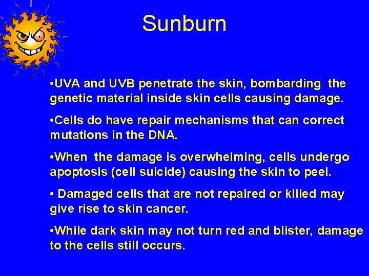 Sunburn • UVA and UVB penetrate the skin, bombarding the genetic material inside skin