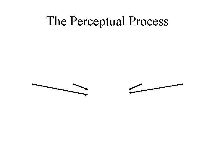 The Perceptual Process 