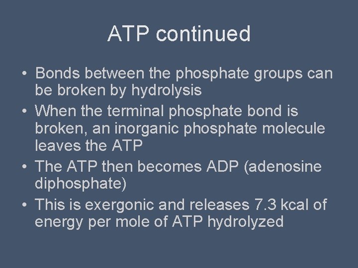 ATP continued • Bonds between the phosphate groups can be broken by hydrolysis •