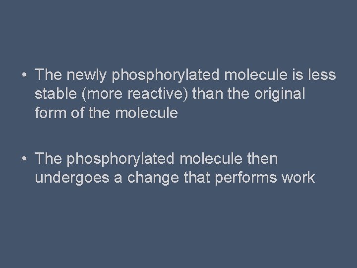  • The newly phosphorylated molecule is less stable (more reactive) than the original