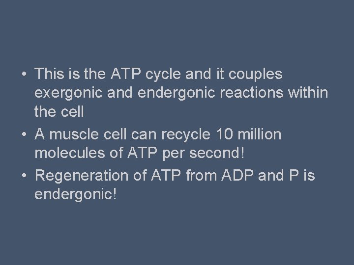  • This is the ATP cycle and it couples exergonic and endergonic reactions