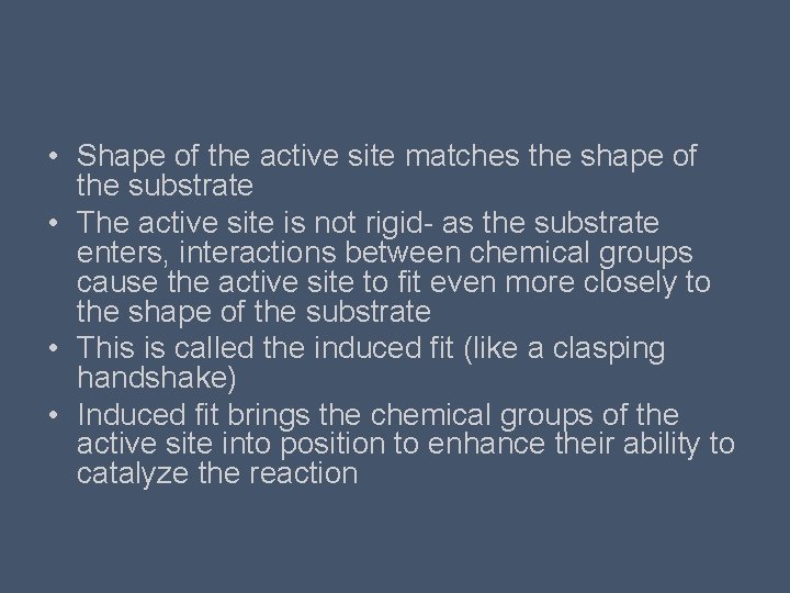  • Shape of the active site matches the shape of the substrate •