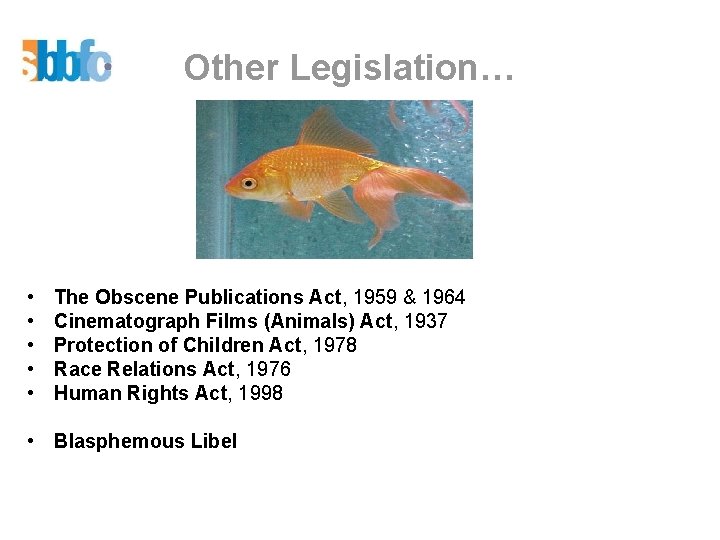 Other Legislation… • • • The Obscene Publications Act, 1959 & 1964 Cinematograph Films