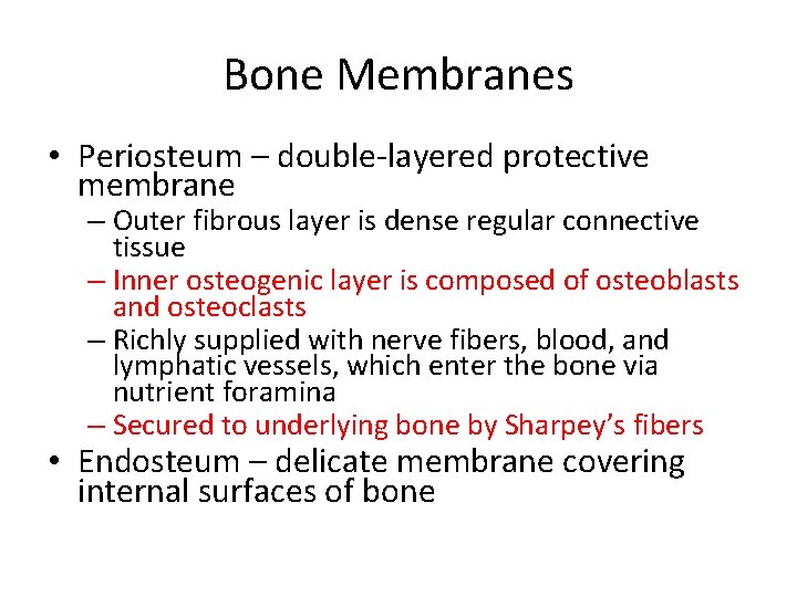 Bone Membranes • Periosteum – double-layered protective membrane – Outer fibrous layer is dense