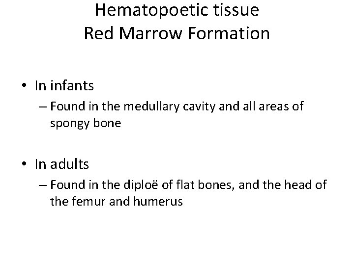 Hematopoetic tissue Red Marrow Formation • In infants – Found in the medullary cavity